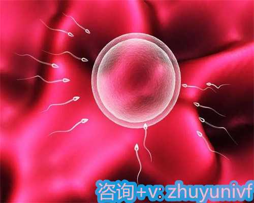 供卵试管哪里可以做,供卵试管医院有哪些?