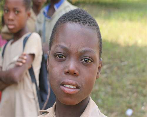 二次移植相比首次成功率会高吗