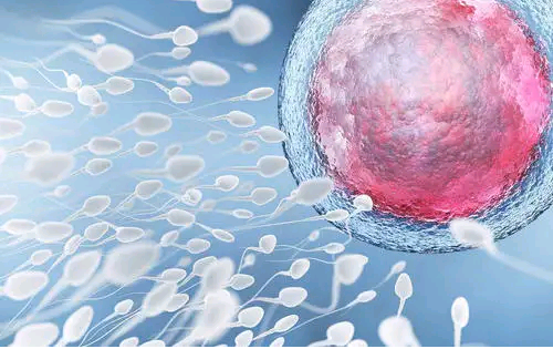 〔上海儿童医院宝宝〕,不孕的血型检查可以查出原因吗正常范围是多少